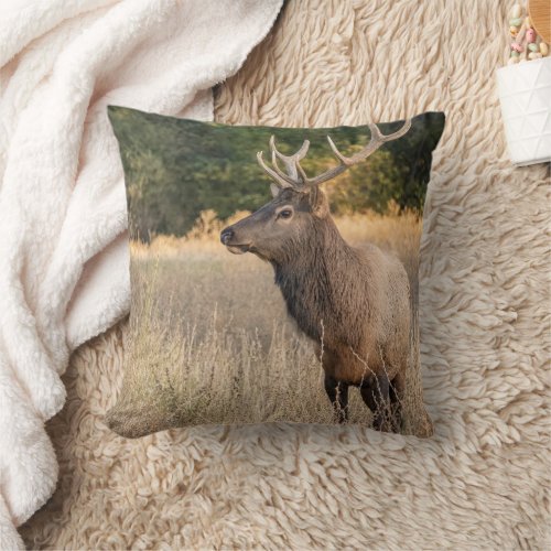 Bull Roosevelt Elk in grass  Washington State Throw Pillow