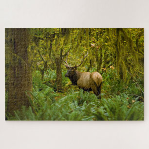 Bull Roosevelt Elk Jigsaw Puzzle