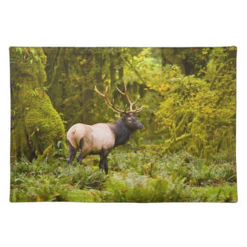 Bull Roosevelt Elk Standing In Meadow Cloth Placemat