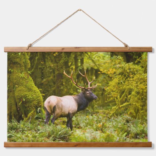 Bull Roosevelt Elk Standing In Meadow Hanging Tapestry
