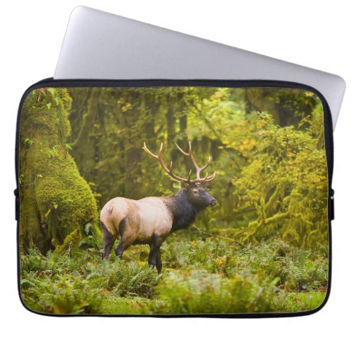 Bull Roosevelt Elk Standing In Meadow Laptop Sleeve
