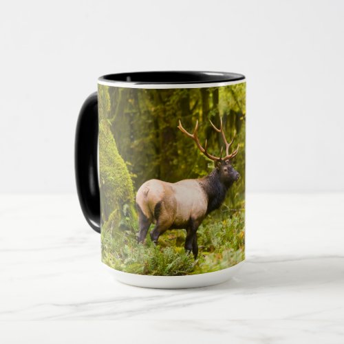 Bull Roosevelt Elk Standing In Meadow Mug
