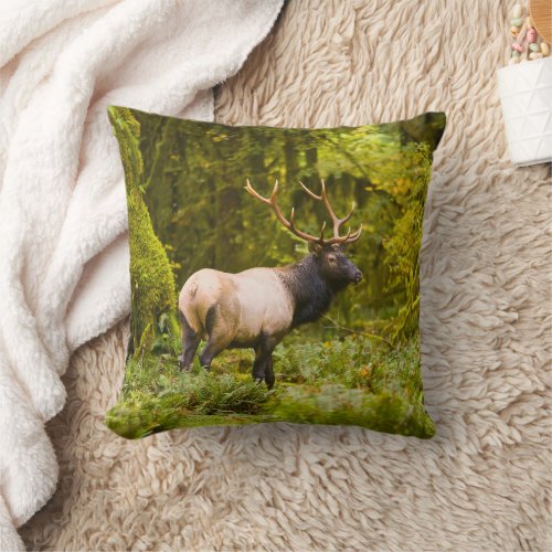 Bull Roosevelt Elk Standing In Meadow Throw Pillow