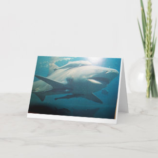 Bull Shark greeting card