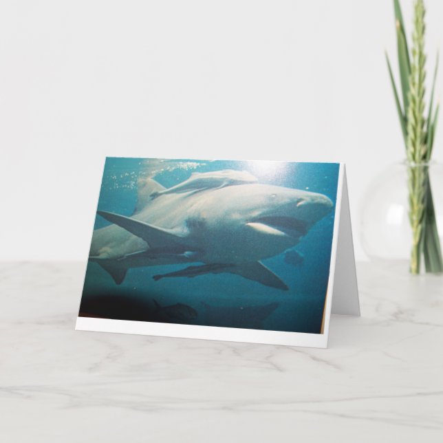 Bull Shark greeting card (Front)