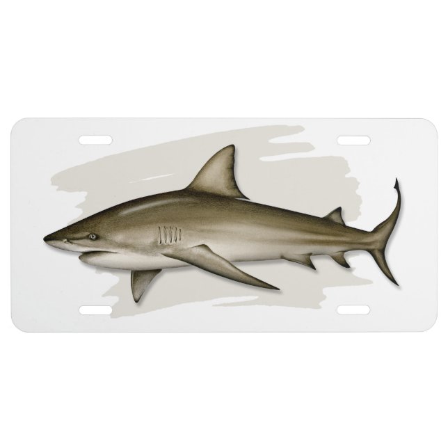 Bull Shark License Plate (Front)