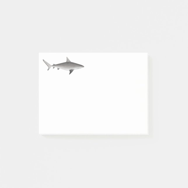 Bull Shark Notes (Front)