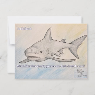 Bull Shark Postcard