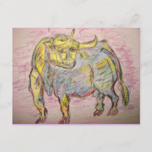 Bull Sketch Postcard