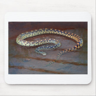 Bull Snake Mouse Pad