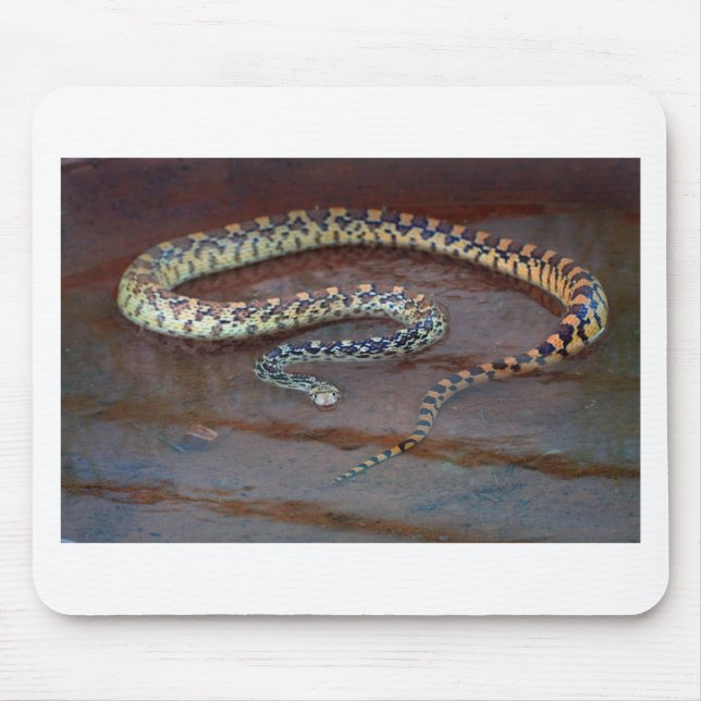 Bull Snake Mouse Pad (Front)