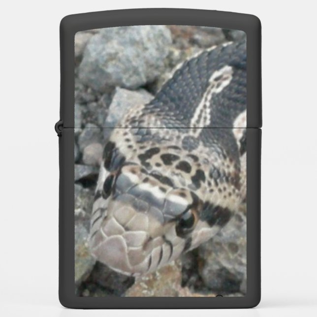 Bull snake (Pituophis catenifer sayi) Zippo Lighter (Front)