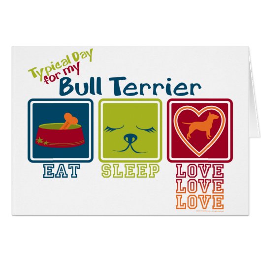 Bull Terrier (Front Horizontal)