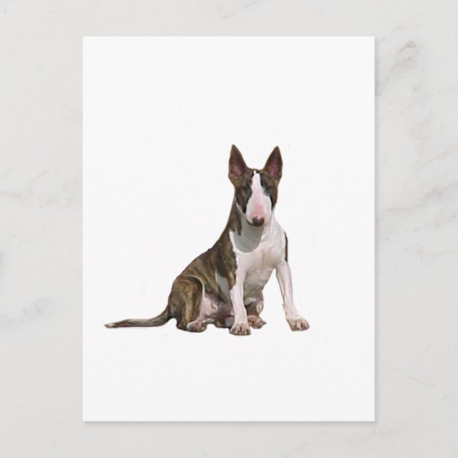 Bull Terrier (B) - Brindle and white Postcard (Front)