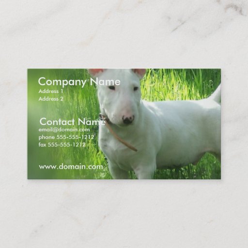 Customizable Bull Terrier Business Card