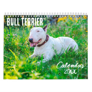 Bull Terrier calendar 2026