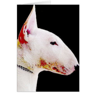 Bull Terrier Cards