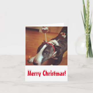 Bull Terrier Christmas Card