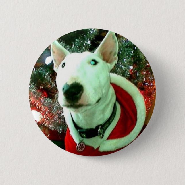 bull terrier christmas pinback button (Front)