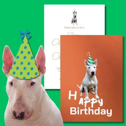 Bull Terrier Dog Birthday Party Invitation