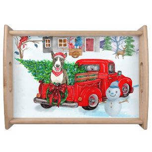 Bull Terrier dog In Christmas Delivery Truck Snow Serving Tray