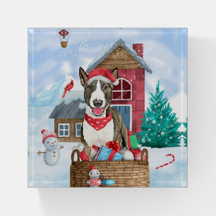 Bull Terrier Dog In snow Christmas Dog House Paperweight