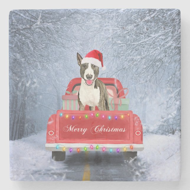 Bull Terrier Dog in Snow sitting in Christmas  Stone Coaster (Front)