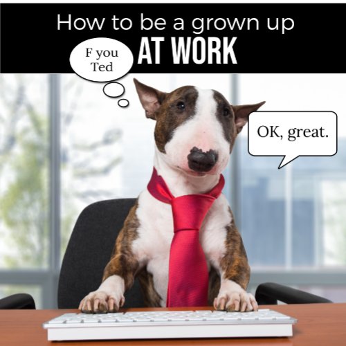 Bull Terrier How to Be a Grown Up T_Shirt