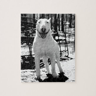 Bull terrier jigsaw puzzle