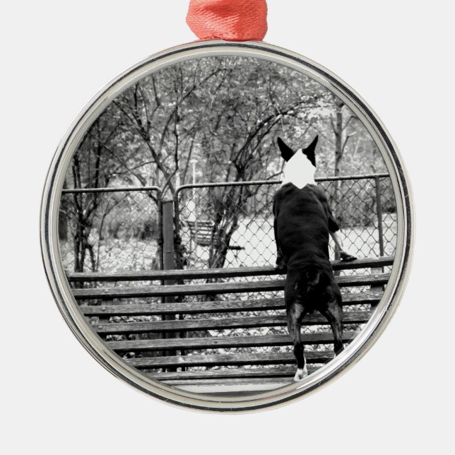 Bull terrier metal ornament (Front)