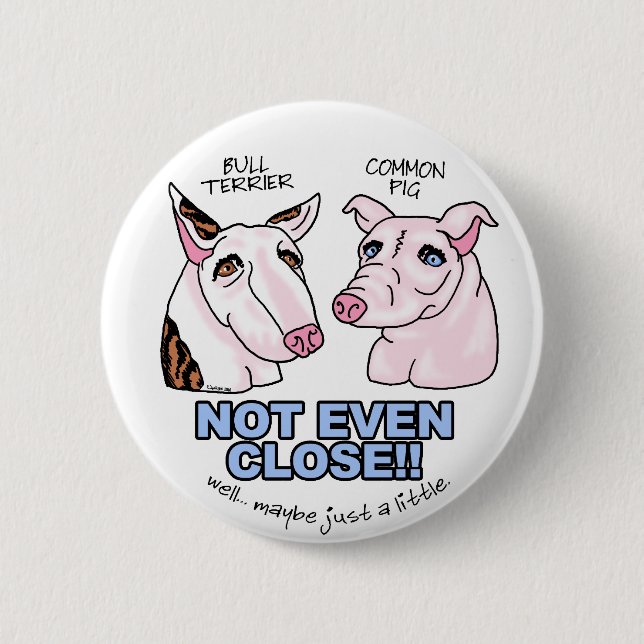 Bull Terrier NOT A Pig Pinback Button (Front)