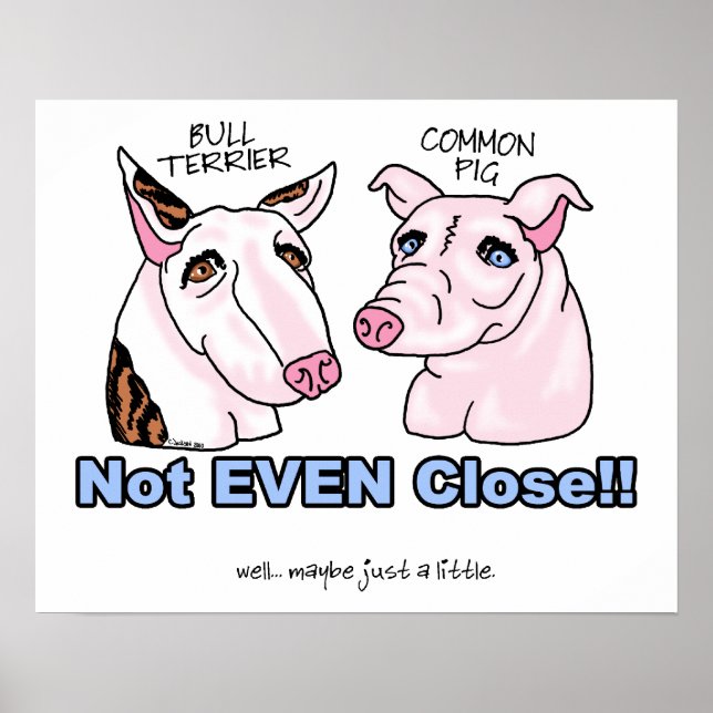 Bull Terrier NOT A Pig Poster (Front)