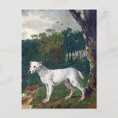 Bull Terrier Painting _ Vintage Fine Art Postcard