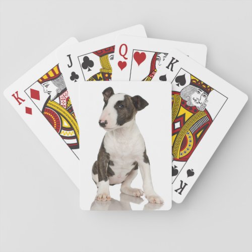 Bull Terrier Poker Cards