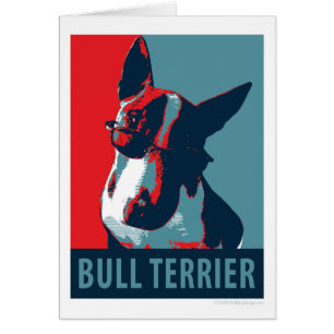 Bull Terrier Political Parody