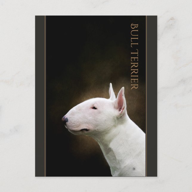 Bull Terrier Postcard (Front)