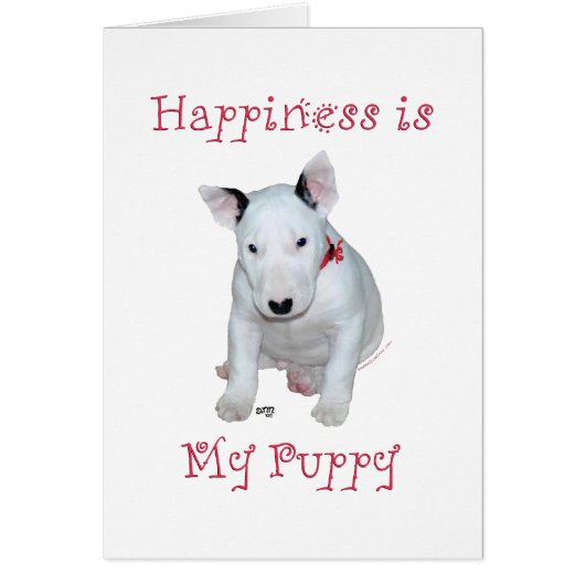 Bull Terrier Puppy (Front)