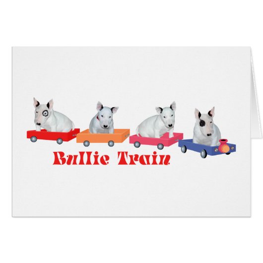 Bull Terrier Puppy Train (Front Horizontal)