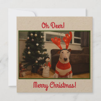 Bull Terrier Reindeer Christmas Funny Card