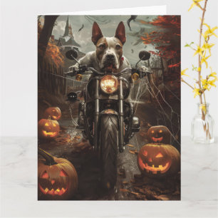 Bull Terrier Riding Motorcycle Halloween Scary Card