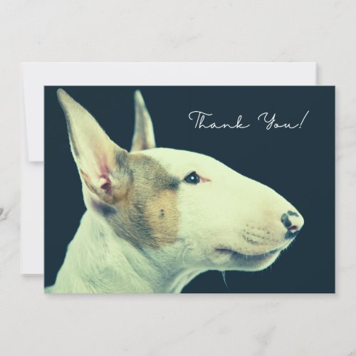 Bull Terrier Thank You Card