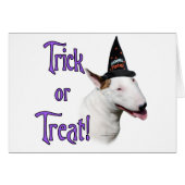 Bull Terrier Trick (Front Horizontal)