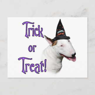 Bull Terrier Trick Postcard