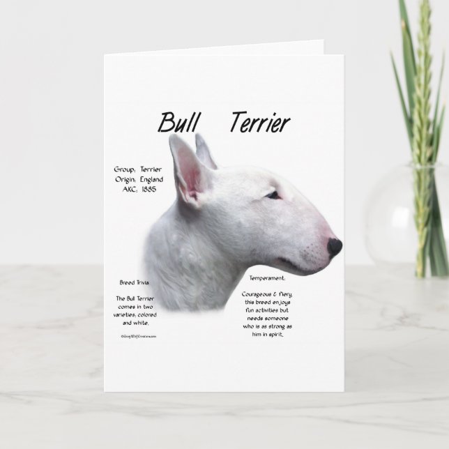 Bull Terrier (wht) History Design Holiday Card (Front)