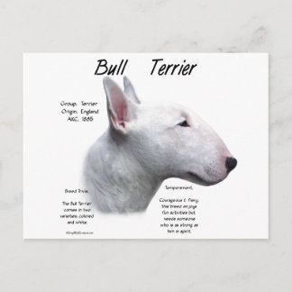 Bull Terrier (wht) History Design Postcard