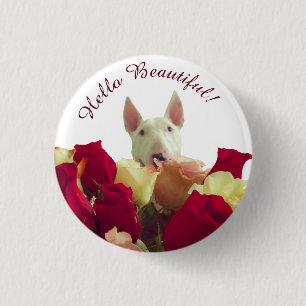 Bull terrier with roses greeting - Hello Beautiful Button
