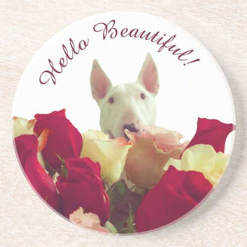 Bull terrier with roses greeting _ Hello Beautiful Coaster