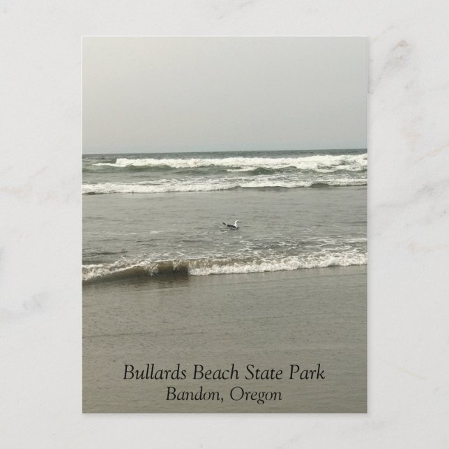 Bullards Beach State Park, Bandon, Oregon Postcard (Front)