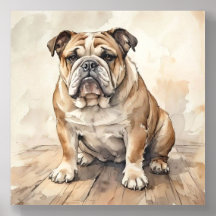 Bulldog