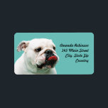 Bulldog Address Label<br><div class="desc">Bulldog Address Label. Write name and address on the template.</div>